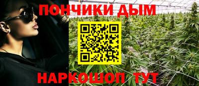 прущие грибы Рузаевка