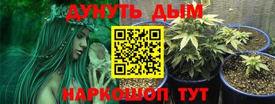 гидропоника Бугуруслан